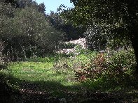 ntrada Ilice-201011114 112